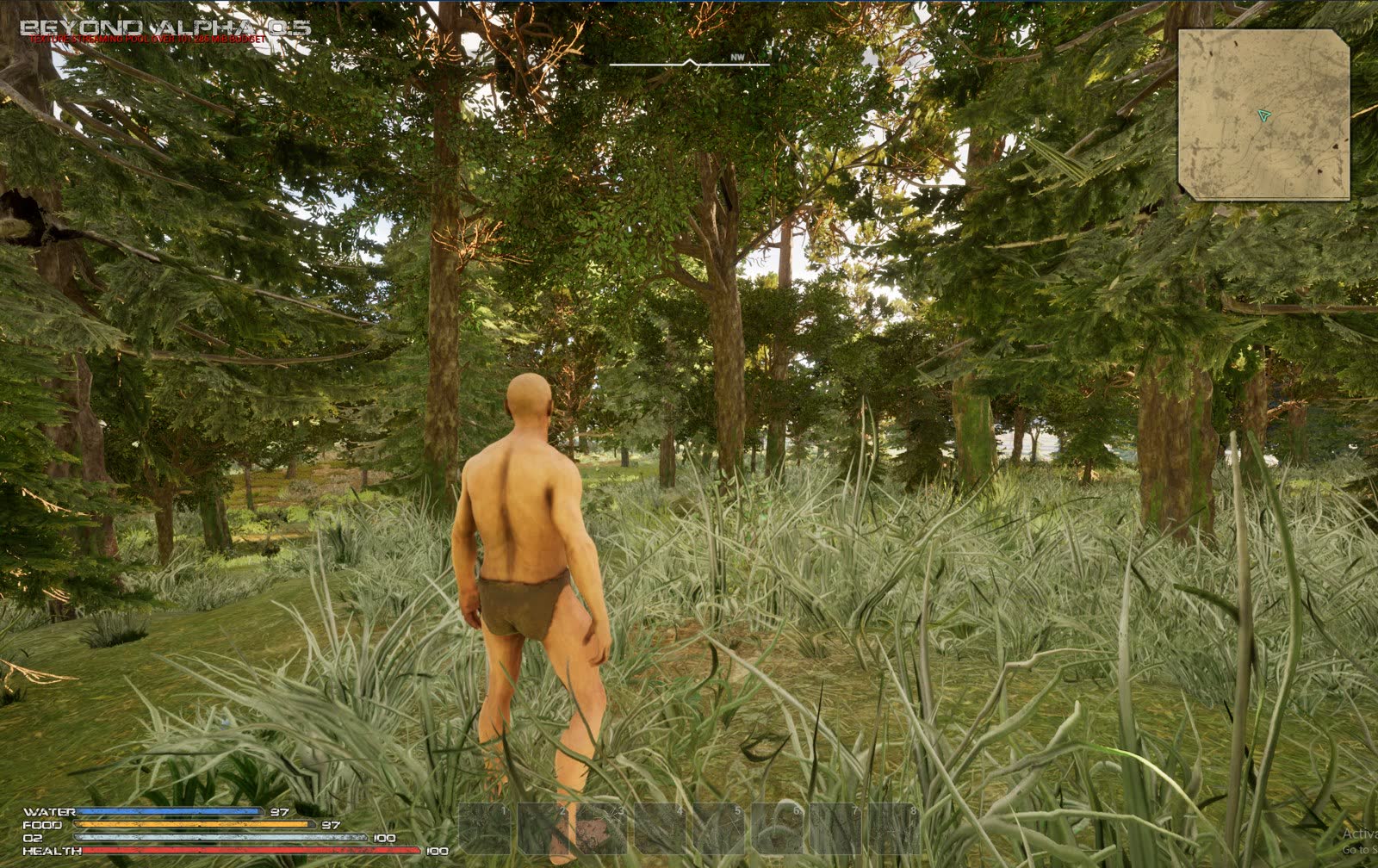 Inside one of the new forests
