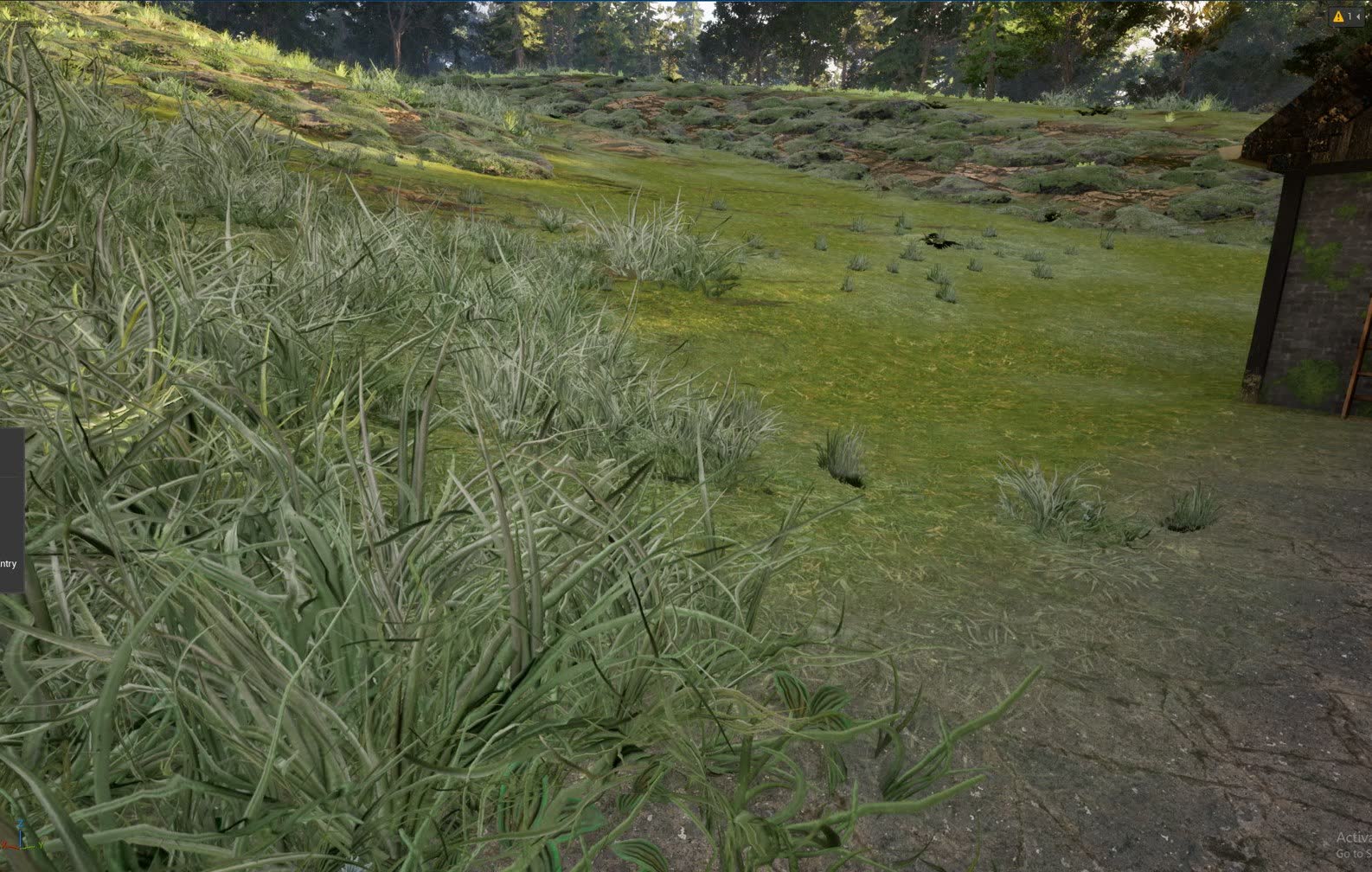 A meadow with the new grass and plants