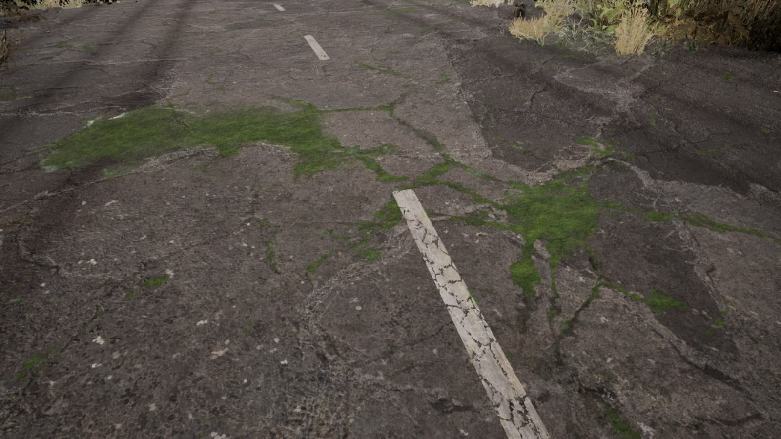 The new worn centre line