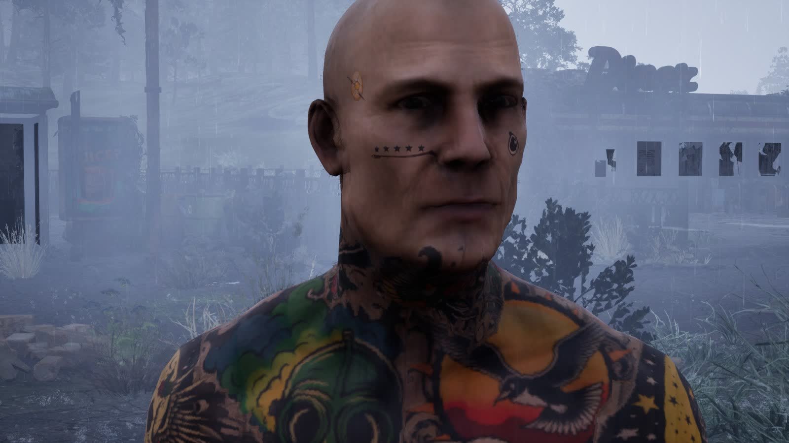 Small marks on the face